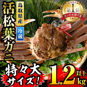 yӂ邳Ɣ[Łzs\tI11{`3{\聄Ԍ聄tKj X 1.2kgȏ Y `  Jj tKj tI l䥂 CN IX ɖX  ① R