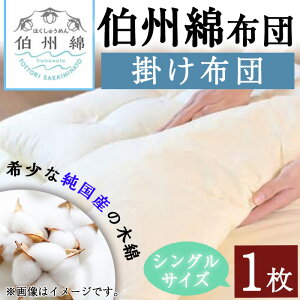 yӂ邳Ɣ[ŁzBȕzc VOTCY̊|zc(1)Y { |zc Q VO 100% 葢 ʋC z ۉ   Mtg 蕨 v[g RVFW ys