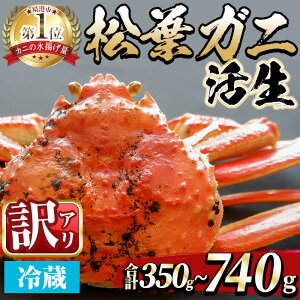 yӂ邳Ɣ[ŁzIׂeʁԌE󂠂聄11{`3{\聄tKj (350`740g) `Y A CN  Jj I tKj t tI 킢 Y
