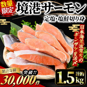 yӂ邳Ɣ[Łz݌v񕍌30,000˔jIʌ聚挧YYu`T[v(艖E؂g)(1/4Jbg^pbN×4Ev1.5kgj Y n  CNMUP   ؂g 