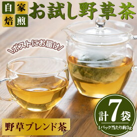 【ふるさと納税】＜数量限定＞お試し野草ブレンド茶(3g×7袋入) 国産 鳥取県 鳥取県産 境港市 お試し お茶 茶葉 緑茶 ブレンド茶 ティーパック【sm-BI004】【サンミサキ】