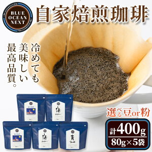 【ふるさと納税】<豆・粉選べる>冷めても美味しい最高品質の自家焙煎珈琲(計400g・80g×5袋セット)コーヒー 珈琲 ドリップ 自家焙煎珈琲 土鍋 フレーバー 完全オリジナル焙煎 飲み比べ プ