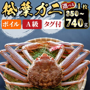 yӂ邳Ɣ[ŁzԌ聄11{`3{\EIׂeʁtKj(350`740gE1) CN  Jj I tKj t tI 킢 YCKj {C A ^Ot C