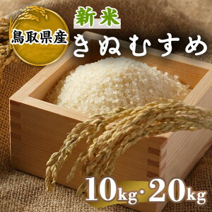 yӂ邳Ɣ[Łzs\tI2025N10{`2026N8{\聄ʌ聄eʂIׂ遄ߘa7NYVĒ挧Yʂނ(10kg`20kg) Y      