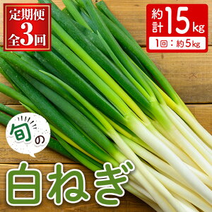 yӂ邳Ɣ[ŁzցES3񁄁s\tI2025N11{`2026N3{\聄˂(5kg×3Ev15kg) ˂ ˂ lM lM K { ύ u  am \  痿