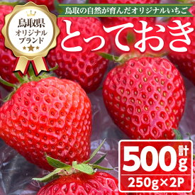 【ふるさと納税】＜数量限定！期間限定！＞＜先行予約受付中！2026年1月中旬～3月下旬発送予定＞鳥取県オリジナルブランドのいちご「とっておき」(計500g・250g×2P) 国産 苺 イチゴ 希少品種 フルーツ 果物 果実 冷蔵 新鮮 【sm-ED001】【空のいちご】