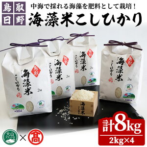yӂ邳Ɣ[Łz挧쒬YCĂЂ(v8kgE2kg×4) 挧 ʍ͔|C    Ђ C yT-BH1zyRuhz