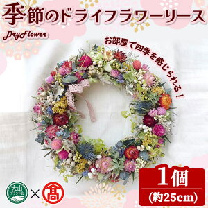 yӂ邳Ɣ[ŁzG߂̃hCt[[X(1E25cm) 挧  t[ [X hC DryFlower ԍ CeA  v[g Mtg yT-BM2zyRuhz