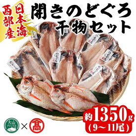 【ふるさと納税】日本海西部産 開きのどぐろ干物C(1350g・9～11尾)干物 ひもの 旬 のどぐろ 鮮魚 魚 魚介 海鮮 海の幸 お取り寄せ 贈答用 ギフト おつまみ セット【T-AN5】【大山ブランド会】