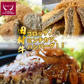 【ふるさと納税】田村牛手づくりジャンボハンバーグ・コロッケ・ミンチカツセット｜鳥取 岩美 牛肉 肉 お肉 手づくり 手作り ハンバーグ コロッケ ミンチカツ 揚げ物 フライ 惣菜 食べ比べ 詰め合わせ セット 肉のたむら 冷凍【12001】