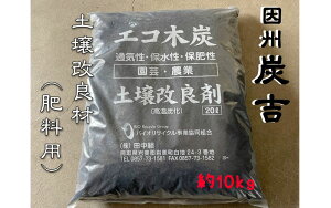 yӂ邳Ɣ[ŁzBYg yǍܗp 10kg r[Ly[Ib挧  Y ؒY y y K[fjO | pi pi G Zbg y73007z