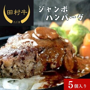 【ふるさと納税】たむら ジャンボハンバーグ 5個入り|鳥取 岩美 牛肉 田村牛 黒毛和牛 肉 お肉 手づくり 手作り 手ごね ハンバーグ 惣菜 肉のたむら 冷凍 送料無料【12003】
