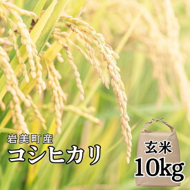 【ふるさと納税】岩美町太田産コシヒカリ（玄米）10kg｜鳥取 岩美 お米 こしひかり【31032】