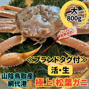 yӂ邳Ɣ[Łzyuh^OtzIɏ㏼tKjij800g ԑ`yȂVNgzb挧  I  Jj t YCKj ɏ VN ① y22024z
