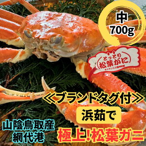 yӂ邳Ɣ[Łzyuh^Otzl䥂ŁIɏ㏼tKjij700gyȂVNgzԑ`b挧  I  Jj t YCKj  ① y22027z