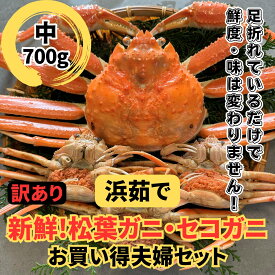 【ふるさと納税】浜茹で！松葉ガニ・セコガニ（中） 11月以降順次発送【さかなや新鮮組】鳥取網代港｜鳥取県 岩美町 かに 松葉がに ズワイガニ 冷蔵 新鮮 送料無料【22040】