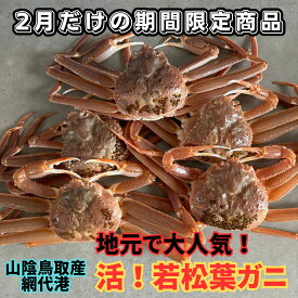 【ふるさと納税】地元で大人気 活！若松葉ガニ（中5枚）鳥取網代港　さかなや新鮮組】｜鳥取県 岩美町 蟹 かに カニ 松葉がに 松葉ガニ 冷蔵 新鮮 送料無料【22036】