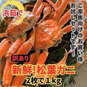 yӂ邳Ɣ[Łzy󂠂zl䥂ŁItKj1kgZbgyȂVNgzԑ`b  I  Jj t @~̖o YCKj 킢 A ① y22025z
