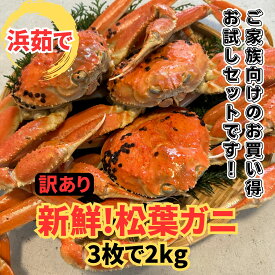 【ふるさと納税】【訳あり】浜茹で！松葉ガニ2kgセット【さかなや新鮮組】鳥取網代港｜鳥取県 岩美町 蟹 かに カニ 松葉がに 松葉ガニ ズワイガニ 新鮮 魚介 冷蔵 訳アリ日本海【22017】