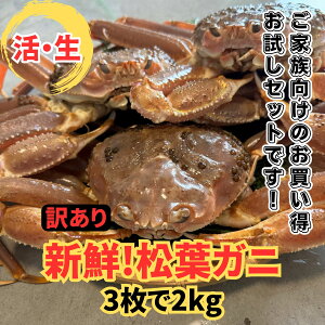 yӂ邳Ɣ[Łzy󂠂zItKj2kgZbg 11ȍ~ ԑ`yȂVNgzb挧  I  Jj t tKj YCKj VN  A ①y2201
