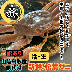 yӂ邳Ɣ[Łzy󂠂zItKjij800g ԑ`yȂVNgzb挧  I  Jj t YCKj A ①y22022z