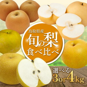 yӂ邳Ɣ[Łzys\zi͂܂ Hה {̗~bNX 3`4kgb ʕ  t[c Ȃ  a VÐ \I HÐ { Iׂe 3kg 4kg ʌ 