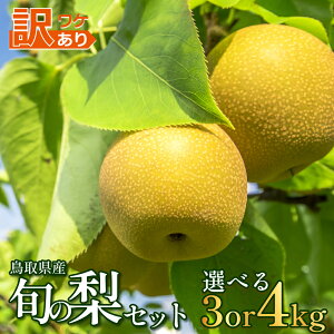 yӂ邳Ɣ[Łzys\z 󂠂 挧Y{̗Zbg 3`4kg i͂܂b ʕ t[c Ȃ  a {  Iׂe 3kg 4kg ʌ _Ɖ 10ȍ~