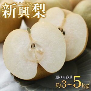 yӂ邳Ɣ[Łzys\zVi񂱂Ȃj 3`5kgb ʕ t[c Ȃ  Iׂe 5kg 4kg 3kg