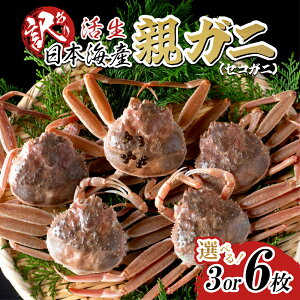 yӂ邳Ɣ[Łzys\zyz󂠂 eKjiZRKjj3 6 p 挧  킢 11`