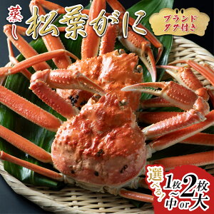 【ふるさと納税】【先行予約】【蒸し】ブランドタグ付き松葉ガニ 1〜2枚|鳥取県 かに ずわいがに 大1枚、2枚、中2枚 発送11月〜