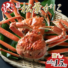 【ふるさと納税】【蒸し】足折れ松葉ガニ 1kg～1.5kg前後｜鳥取県 かに ずわいがに 1kg 1.5kg 発送11月～