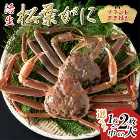 【ふるさと納税】【活生】ブランドタグ付き松葉ガニ 1～2枚｜鳥取県 かに ずわいがに 大1枚、2枚、中2枚 発送11月～