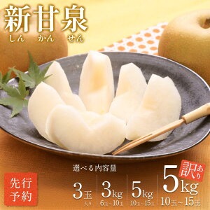 yӂ邳Ɣ[Łzys\z_  hVÐh 3ʁA3`5kg 󂠂b挧  Ȃ iV a VÐ ʕ  t[c 2025n Iׂe 3kg 5kg A ʌ { \