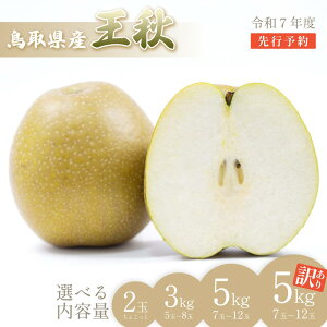 yӂ邳Ɣ[Łzys\z_  hHh 2ʁA3`5kg 󂠂b挧  Ȃ iV H ʕ t[c 2025n Iׂ e 3kg 5kg A