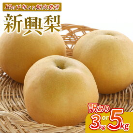 【ふるさと納税】【先行予約】（訳あり）中野農園 梨 ”新興梨” 3～5kg｜鳥取 岩美 梨 なし ナシ 赤梨 果物 フルーツ※お届けは2026年11月以降