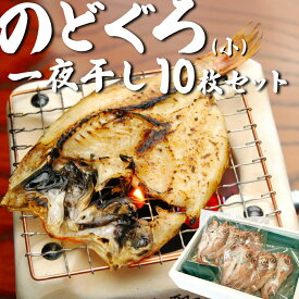 【ふるさと納税】のどぐろ一夜干し 小さめ（50g~60g）10枚｜鳥取 岩美 日本海 干物 海産物 ひもの ノドグロ【24033】