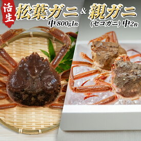 【ふるさと納税】松葉がに＆親がにセット（生）｜鳥取県 岩美町 蟹 かに カニ 松葉ガニ 親がに 新鮮 魚介 食べ比べ 詰め合わせ セット 冷蔵 送料無料【22008-2】