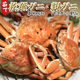 【ふるさと納税】松葉がに＆親がにセット（ボイル）｜鳥取県 岩美町 蟹 かに カニ 松葉ガニ 親ガニ せこがに ズワイガニ 食べ比べ 詰め合わせ セット 冷蔵【22008-1】