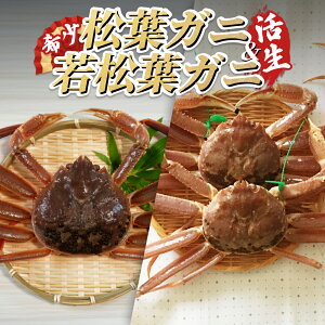 yӂ邳Ɣ[ŁztɁᏼtɃZbgijb挧  I  Jj t tKj ᏼt ᏼtKj YCKj VN  Hה lߍ킹 Zbg ①y22009-2
