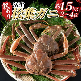 【ふるさと納税】訳あり松葉がに（生）｜鳥取県 岩美町 蟹 かに カニ 松葉がに 松葉ガニ ズワイガニ 訳あり 訳アリ 新鮮 魚介 セット 冷蔵【22010-2】