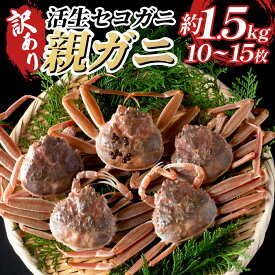 【ふるさと納税】訳あり親がに（生）｜鳥取県 岩美町 蟹 かに カニ 親がに 親ガニ セコガニ ズワイガニ 訳あり 訳アリ 新鮮 冷蔵【22011-2】