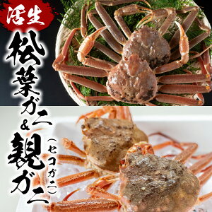 yӂ邳Ɣ[Łz󂠂菼t e vwZbgij挧ԑYys\zb挧  I  Jj tKj eKj YCKj 󂠂 A VN  Hה lߍ