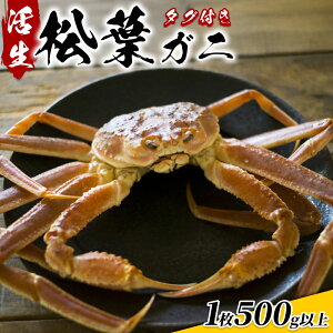 yӂ邳Ɣ[ŁztɁiuh^Otj500gȏij挧ԑYys\zb挧  I  Jj tKj YCKj 󂠂 A VN  ①y22014z