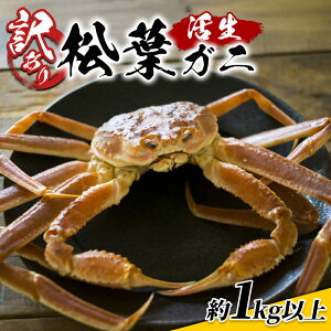 yӂ邳Ɣ[Łz󂠂菼t 1kgZbg 挧ԑYys\zb挧  I  Jj t tKj YCKj 󂠂 A VN  ①y22016z