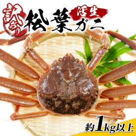 【ふるさと納税】訳あり松葉がに 1kgセット 鳥取県網代産【先行予約】｜鳥取県 岩美町 蟹 かに カニ 松葉がに 松葉ガニ ズワイガニ 訳あり 訳アリ 新鮮 魚介 冷蔵【22016】