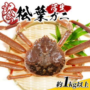 yӂ邳Ɣ[Łz󂠂菼t 1kgZbg 挧ԑYys\zb挧  I  Jj t tKj YCKj 󂠂 A VN  ①y22016z