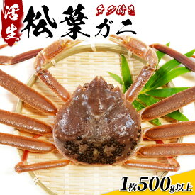 【ふるさと納税】松葉がに（ブランドタグ付き）500g以上（生）鳥取県網代産【先行予約】｜鳥取県 岩美町 蟹 かに カニ 松葉ガニ ズワイガニ 訳あり 訳アリ 新鮮 魚介 冷蔵【22014】