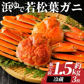 【ふるさと納税】鳥取県岩美町特産 若松葉ガニ姿茹で 3枚セット【先行予約】｜鳥取県 岩美町 蟹 かに カニ 松葉がに 松葉ガニ 冷蔵 送料無料【22043】