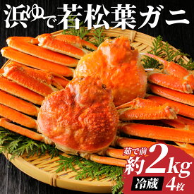 【ふるさと納税】鳥取県岩美町特産 若松葉ガニ姿茹で 4枚セット【先行予約】｜鳥取県 岩美町 蟹 かに カニ 松葉がに 松葉ガニ 冷蔵 送料無料【22044】