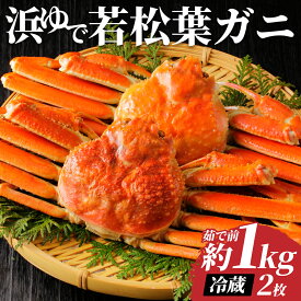 【ふるさと納税】鳥取県岩美町特産 若松葉ガニ姿茹で 2枚セット【先行予約】｜鳥取県 岩美町 蟹 かに カニ 松葉がに 松葉ガニ 冷蔵 送料無料【22042】